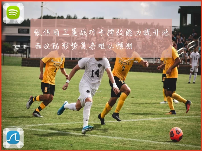 张伟丽卫冕战对手摔跤能力提升地面攻防形势复杂难以预测